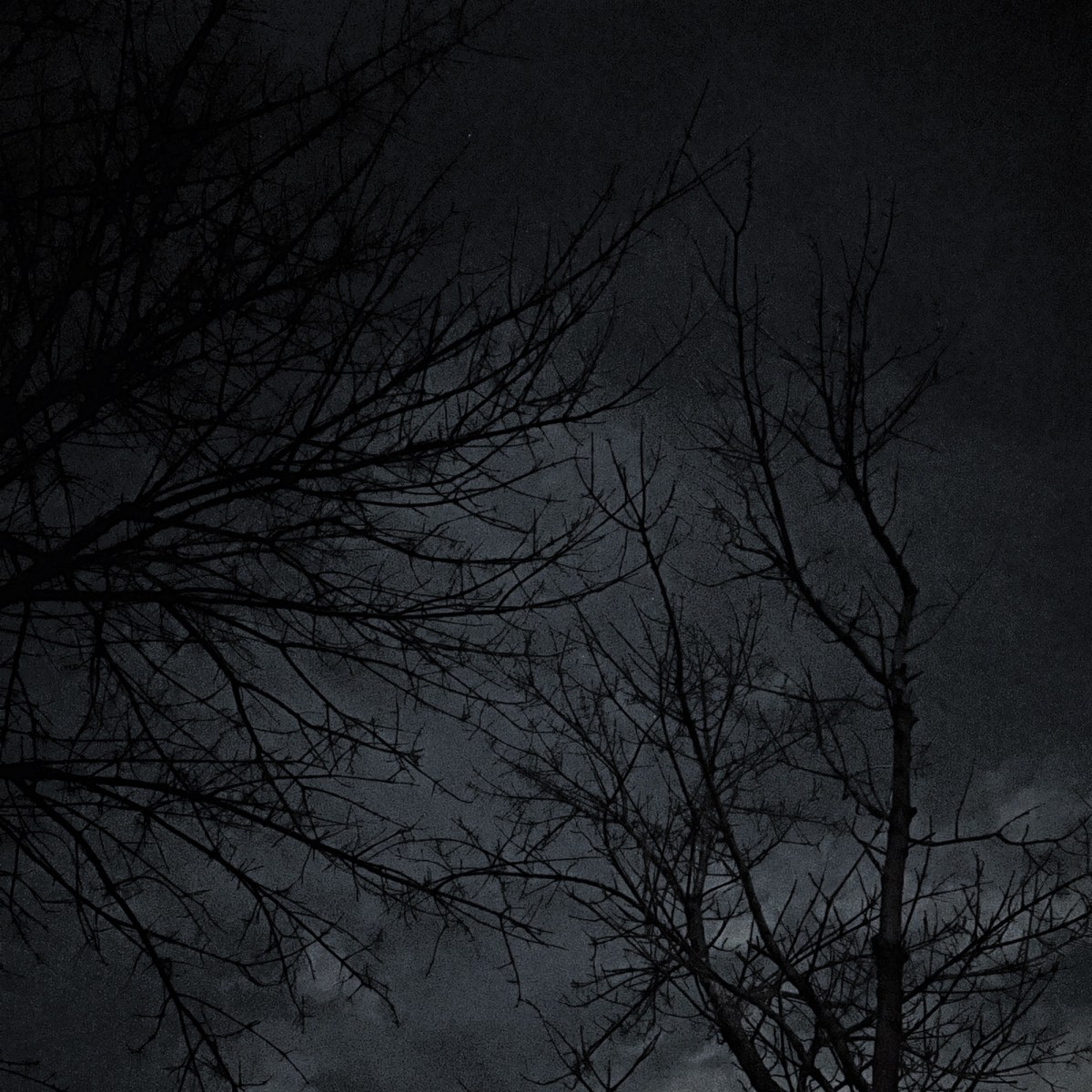 The First 30&nbsp;Days